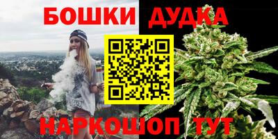 индика Нягань