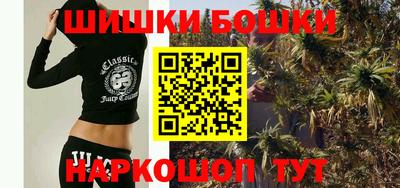индика Нягань
