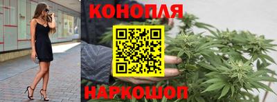 мдпв Пенза