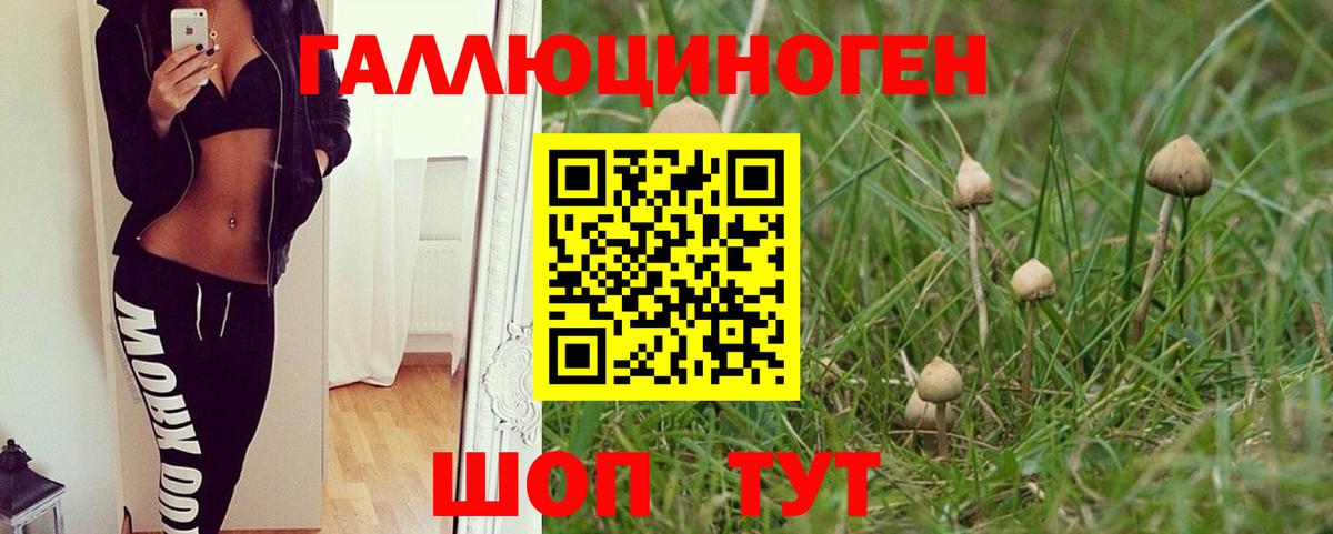 Галлюциногенные грибы Psilocybine cubensis  Вход с VPN  Галлюциногенные грибы мухоморы  Серпухов 