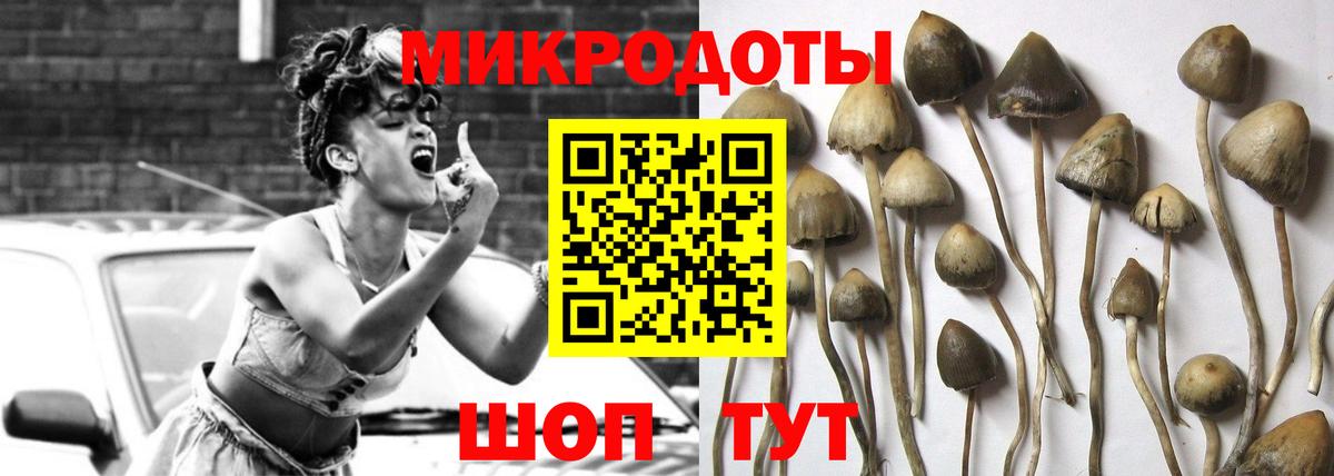 Галлюциногенные грибы Psilocybine cubensis Серпухов